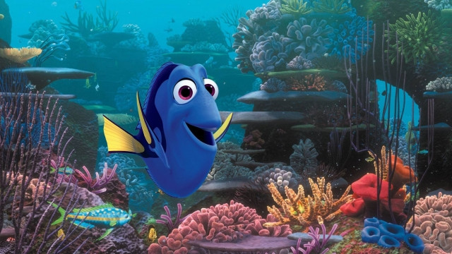 Xem Phim Truy Tìm Dory - Finding Dory - Vkool.Net - Ảnh 4