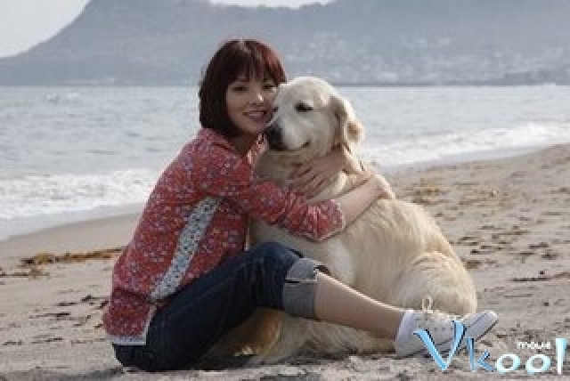 Xem Phim 10 Lời Hứa Với Chú Chó Của Tôi - 10 Promises To My Dog - Vkool.Net - Ảnh 2